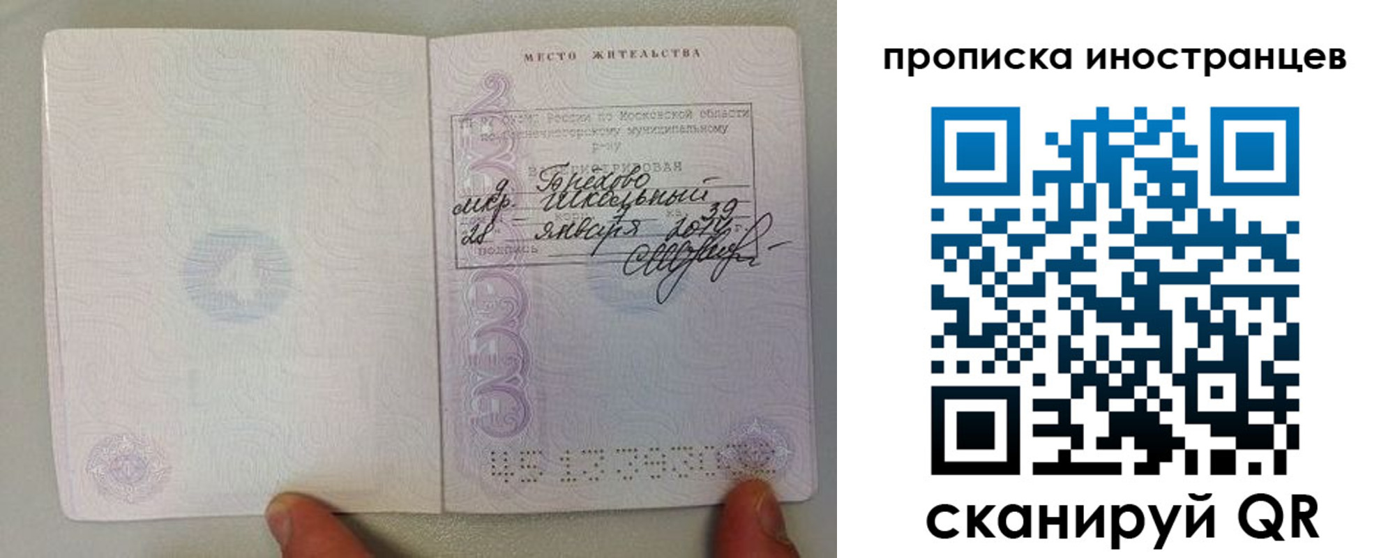 прописка поиск в Копейске